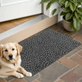 thumbnail image 1 of Black Leopard Print Door Rugs,Washable Non Slip Door Mats Indoor,Decorative Door Mats,Entry Mat Indoor for Entrance,Bedroom,Kitchen,Bathroom,16"x24", 1 of 6
