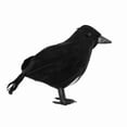 thumbnail image 1 of Carroterr Simulation Black Crow Animal Model P1R2, 1 of 9