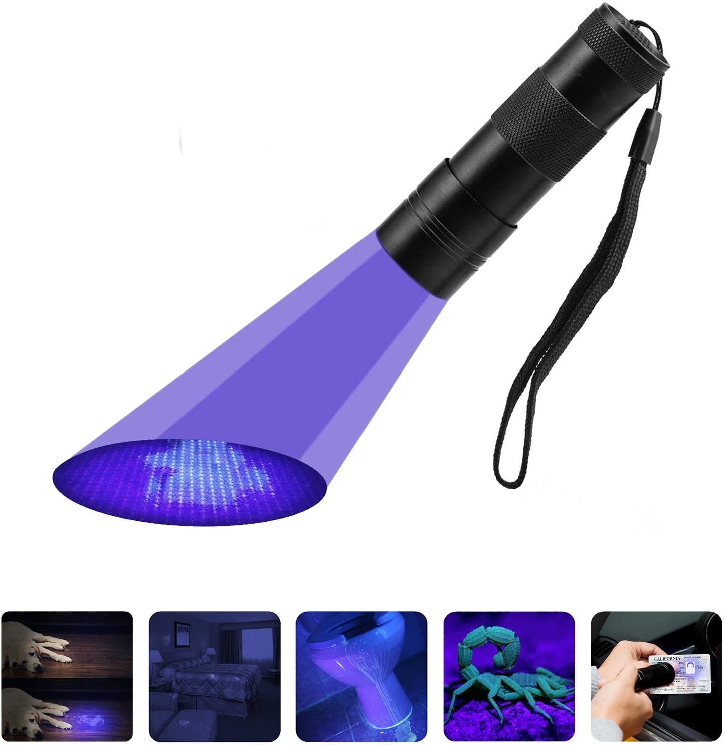 Black Light UV Flashlight, 12 LED UV lights Ultraviolet Blacklight
