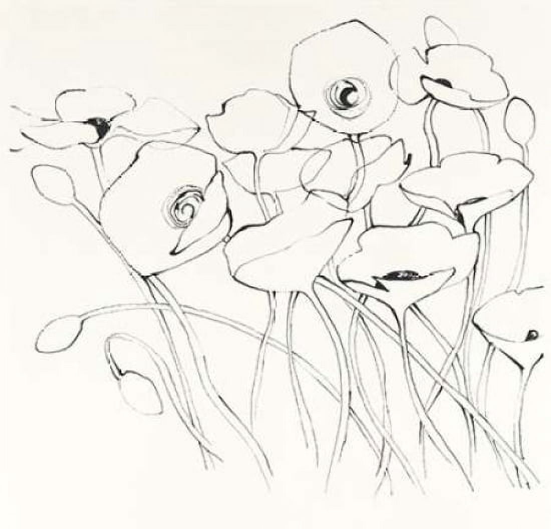 Black Line Poppies I Canvas Art - Shirley Novak (24 x 24)