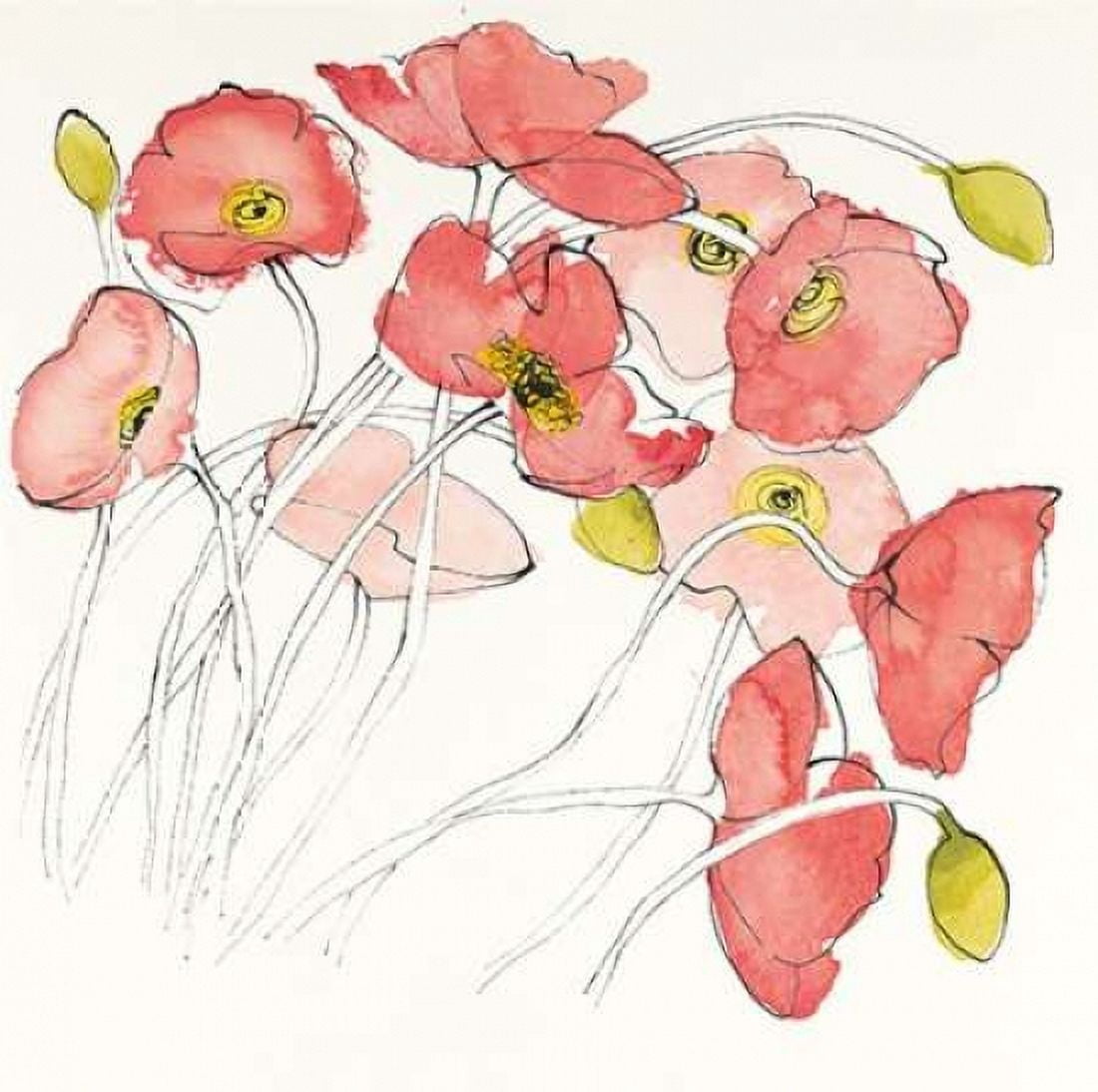 Black Line Poppies II Watercolor Canvas Art - Shirley Novak (24 x 24)