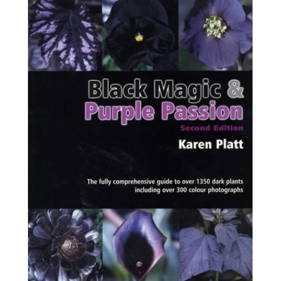 Pre-Owned Black Magic and Purple Passion: 1,350 Dark Plants (Paperback) 0952881098 9780952881094