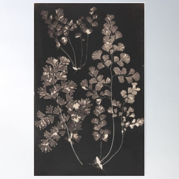 Black Maidenhair Poster Wall Art, Modern Wall Decor For Living Room Bedroom, 8x12 UNFRAMED