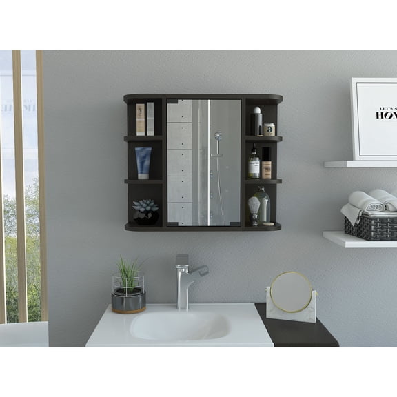 Black Medicine Cabinet, 26.5 - lb Package | Simple to Transport | Move It Easily to Your Desired Location