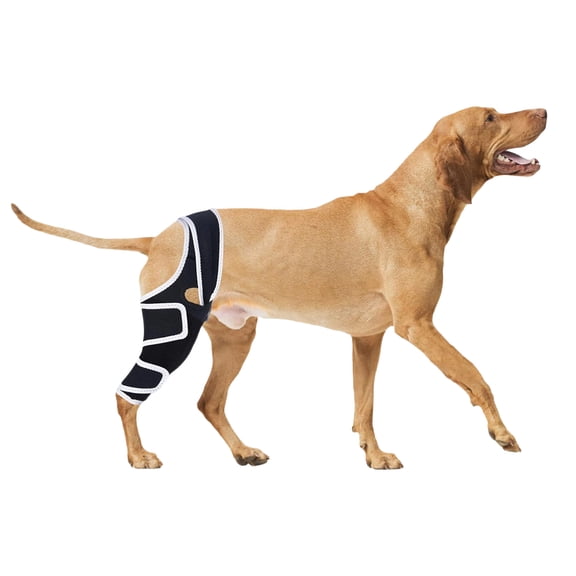 Black Medium Size Canine Rear Leg Hip Support Brace - Supports Hip Joint Function, Maintains Normal Hip Alignment, Adjustable For Custom Fit, Offers Secure Support - For Medium