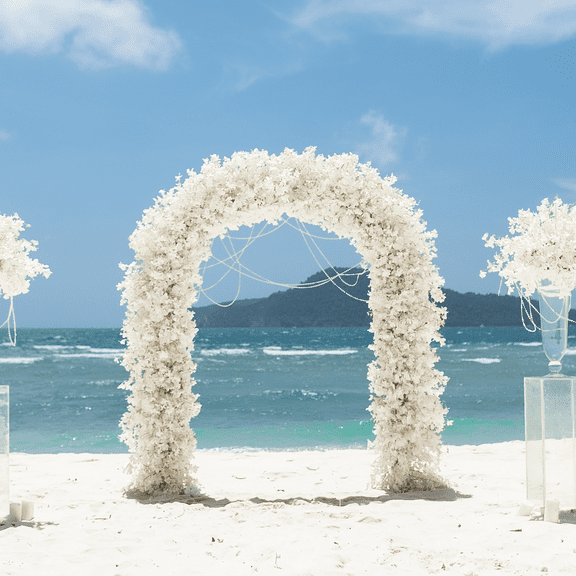 Black Metal Garden Arch, 2in1 Wide & High Adjustable Wedding Arch for Floral Decor & Climbing Plants