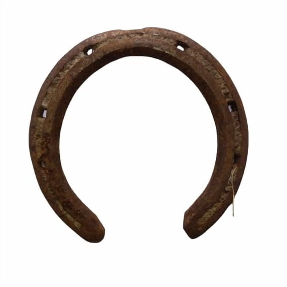 Black Metal Horse Shoe to Prote