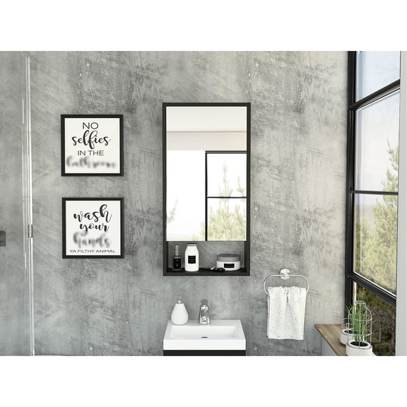 Black Mirrored Medicine Cabinet | Big-Scale Storage in Bathroom | Particle Board Build | Meets High Storage Demand