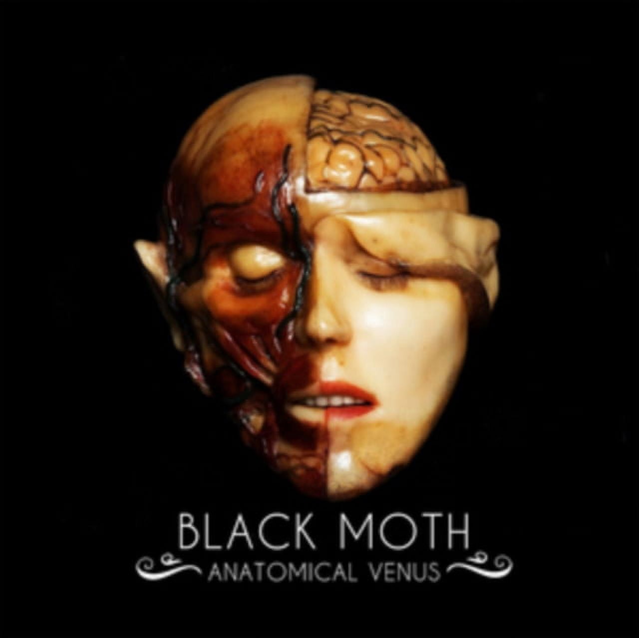 Black Moth - Anatomical Venus - Music & Performance - Vinyl