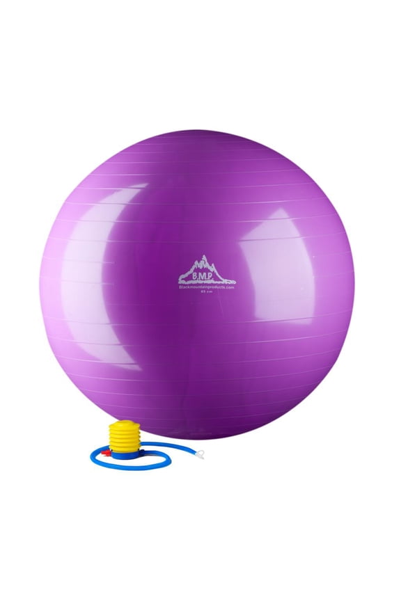 2000lbs Static Strength Exercise Stability Ball with Pump, 45cm Purple