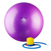 Black Mountain Products Professional Grade Stability Ball - Pro Series 1000 Lbs., Anti-burst 2000 lbs., Static Weight Capacity, 65cm Purple