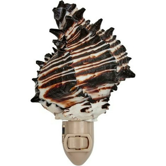 Black Murex Natural Shell LED Night Light