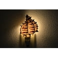 thumbnail image 1 of Black Murex Sea Shell Nightlight, 1 of 3