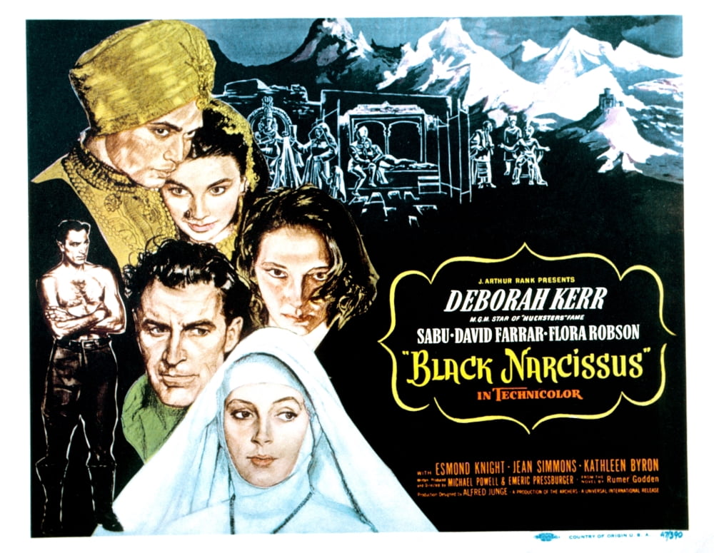 Black Narcissus Canvas Art - (28 x 22)