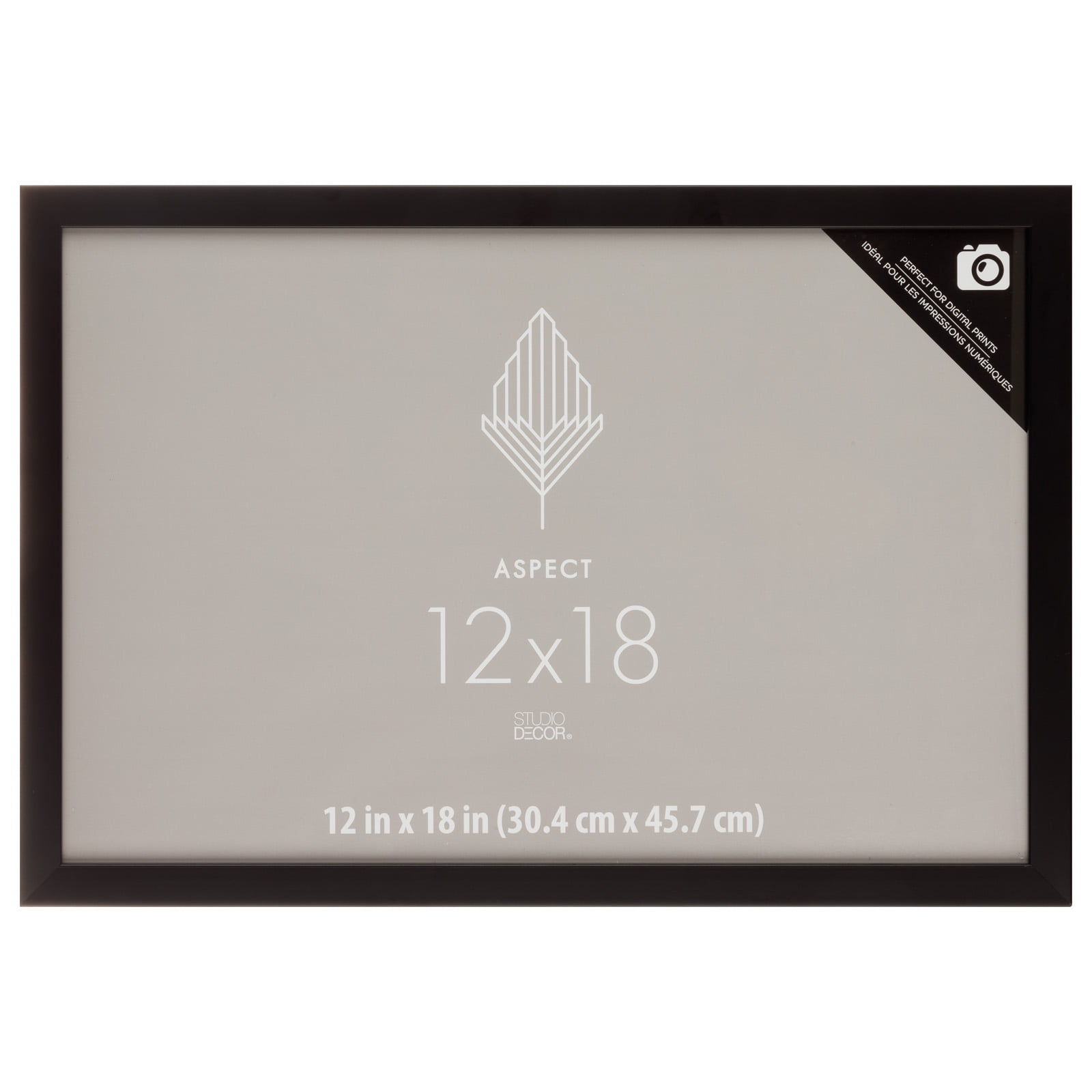 Aspect Black 12" x 18" Narrow Glass Wall Frame