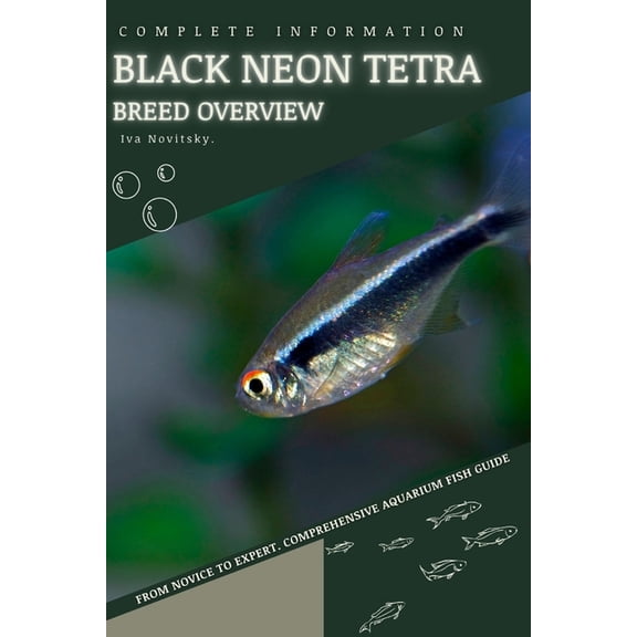 Black Neon Tetra: From Novice to Expert. Comprehensive Aquarium Fish Guide