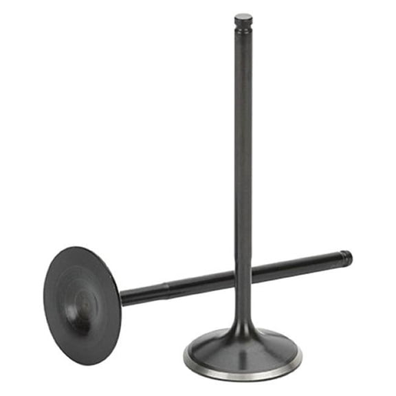 Black Nitrided Intake Valve for Mazda Miata 1.6 ltr, Set of 8