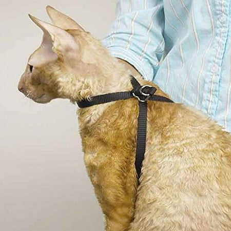 Black Nylon Adjustable Cat Harness 40" Secure Pet Restraint Easy Snap Closure