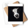 thumbnail image 1 of Black Observation Horn Dairy Cow Postcards Envelopes Blank Note Cards Mailing, 1 of 4