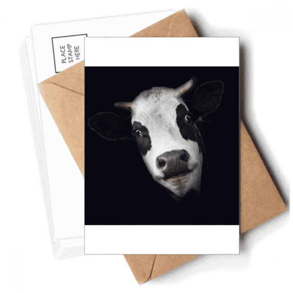 Black Observation Horn Dairy Cow Postcards Envelopes Blank Note Cards Mailing
