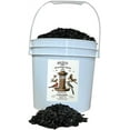 Black Oil Sunflower Seed Bird Seed 12 lbs Pail Ideal for Wild Bird