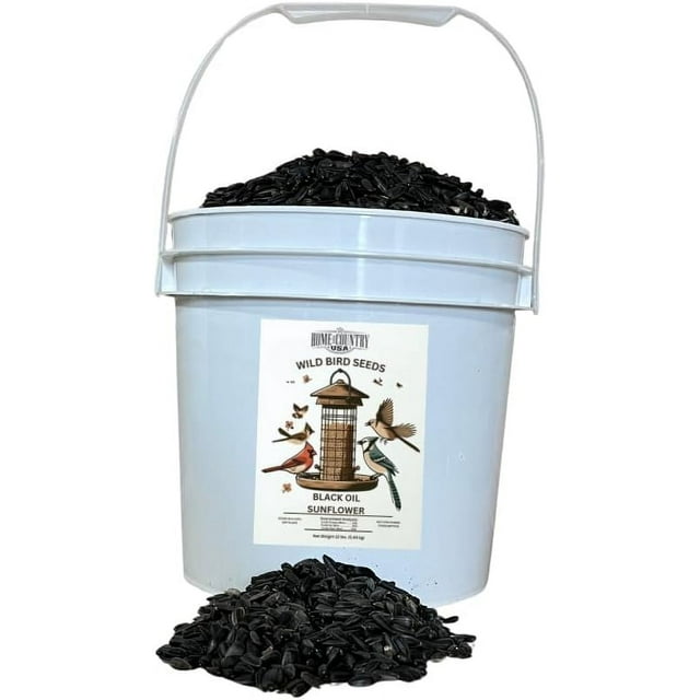 Black Oil Sunflower Seed Bird Seed 12 lbs Pail Ideal for Wild Bird