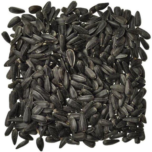 Black Oil Sunflower Seed Bird Seed 25 lbs Bag Ideal for Wild Bird