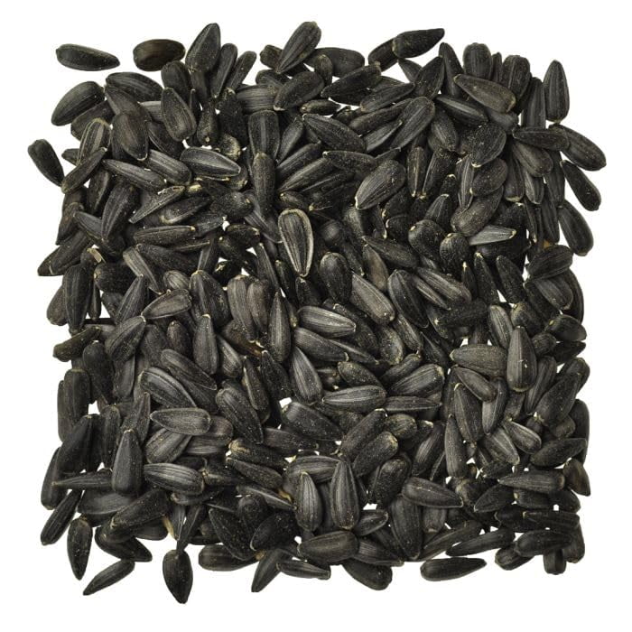 Black Oil Sunflower Seed Bird Seed 50 lbs Bag Ideal for Wild Bird