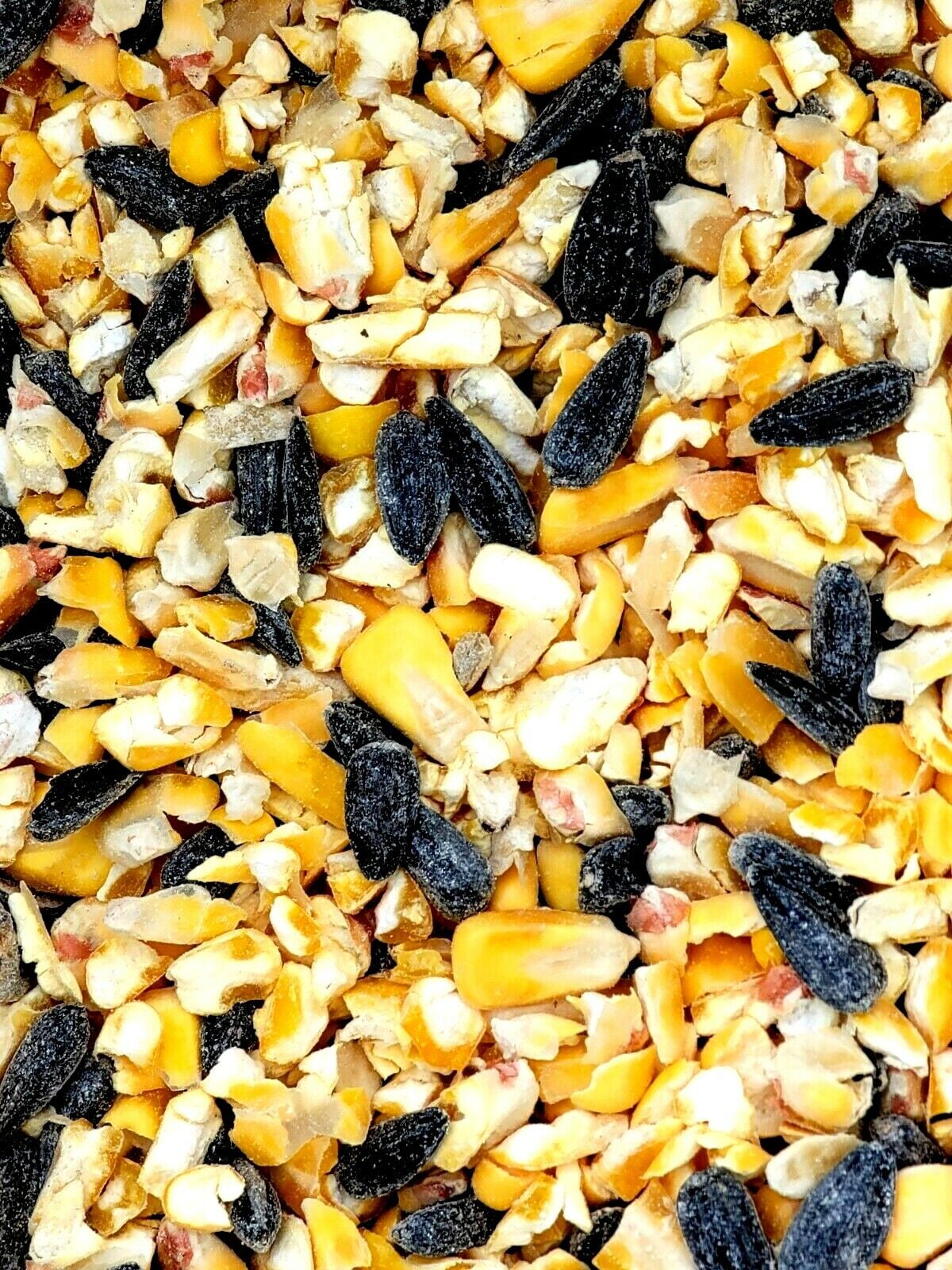 NoBrand Black Oil Sunflower, Cracked Corn Bird Seed for Cardinals