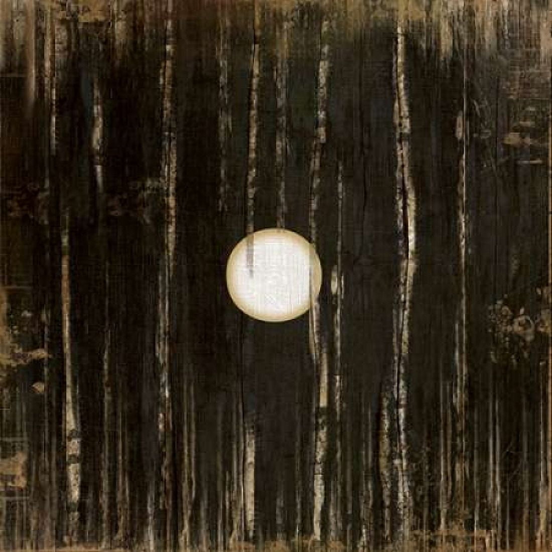 Black One Canvas Art - Jennifer Pugh (24 x 24)