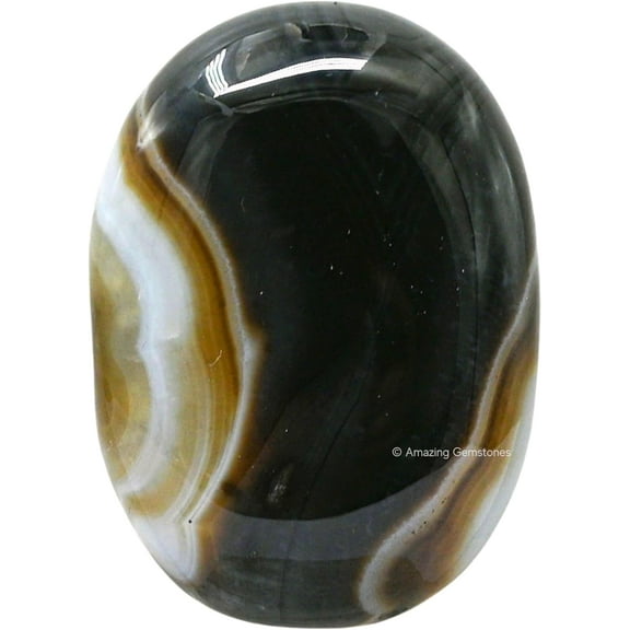 Black Onyx Crystal Palm Stone
