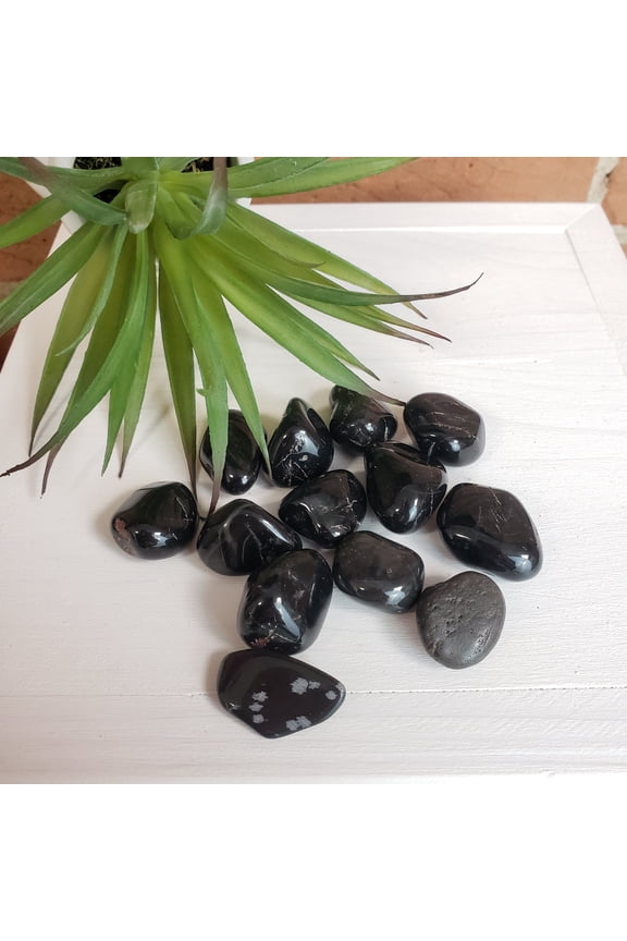 Black Onyx Tumbled 1-Inch