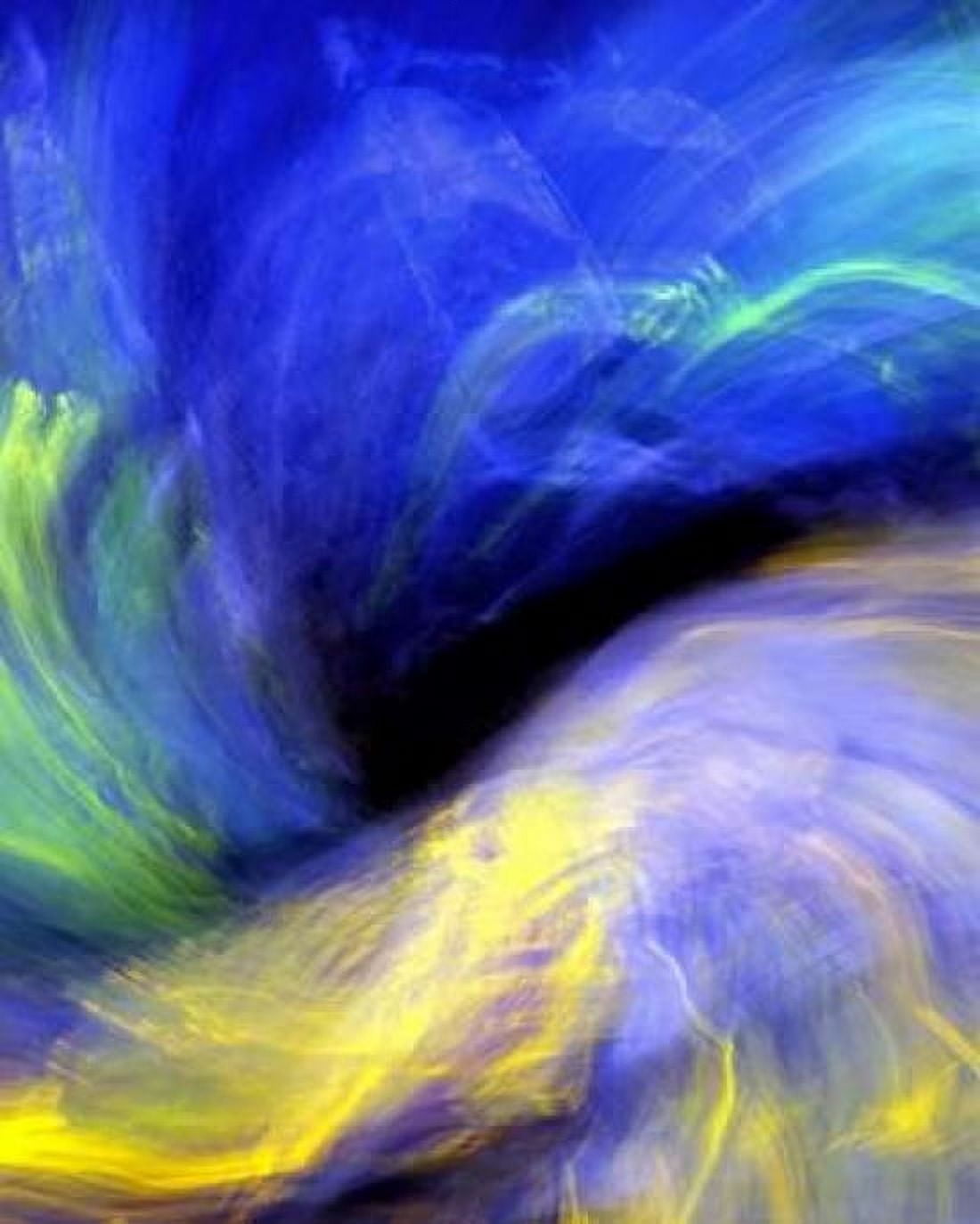 Black Opal Canvas Art - Douglas Taylor (24 x 30)