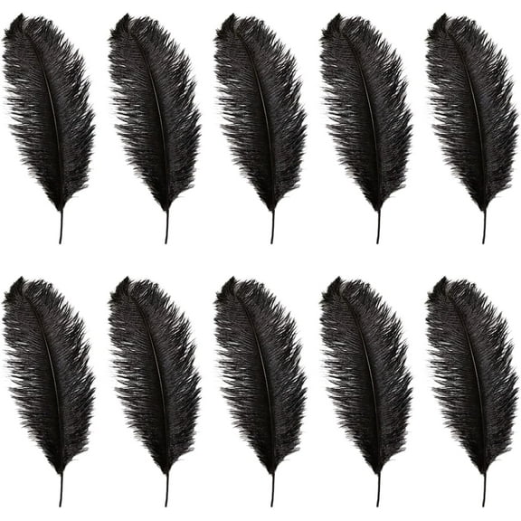 Black Ostrich Feathers,Bexikou 20 Pcs 8-10 inches Natural Ostrich Feathers Plumes for Wedding Party Centerpieces, Home Decorations and DIY Crafts