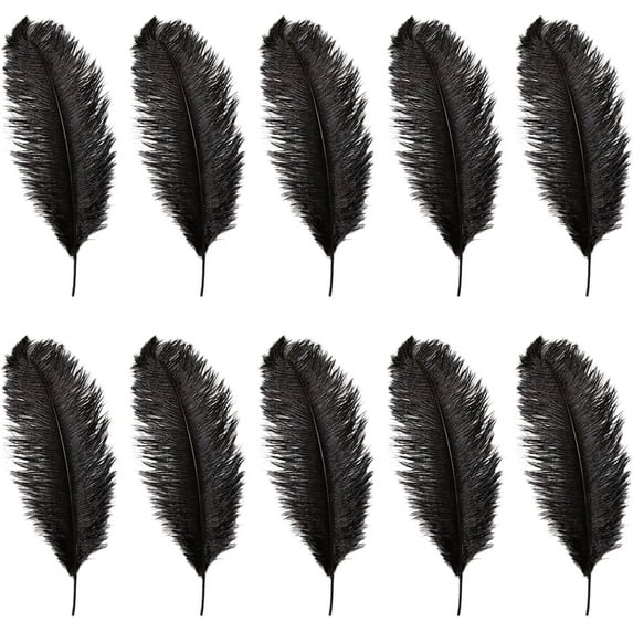 Black Ostrich Feathers,Bexikou 20 Pcs 8-10 inches Natural Ostrich Feathers Plumes for Wedding Party Centerpieces, Home Decorations and DIY Crafts