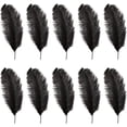 thumbnail image 1 of Black Ostrich Feathers,Bexikou 20 Pcs 8-10 inches Natural Ostrich Feathers Plumes for Wedding Party Centerpieces, Home Decorations and DIY Crafts, 1 of 8