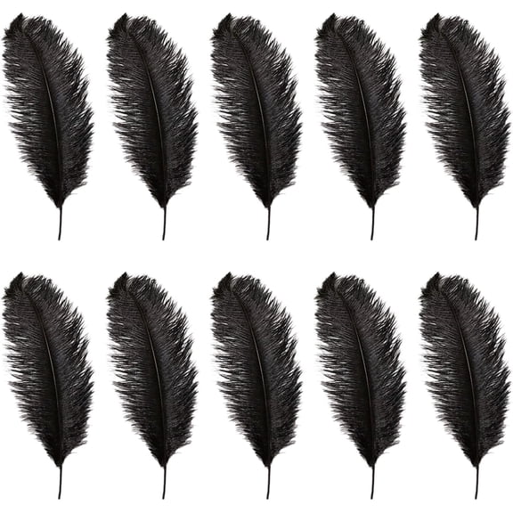 Black Ostrich Feathers,Bexikou 20 Pcs 8-10 inches Natural Ostrich Feathers Plumes for Wedding Party Centerpieces, Home Decorations and DIY Crafts