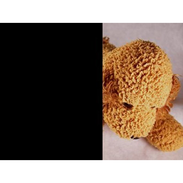 Black Out Total Privacy Window Film 30" Wide x 10 Ft