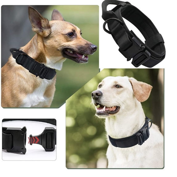Black Outdoor Dog Collar, Dog Collar, Heavy Duty Dog Collar, Nylon Dog Collar, with Inner Padded Lining, Metal D Ring and Quick Release Buckle for Medium to Large Breed Daily