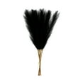 thumbnail image 1 of Black Pampas Grass - 22 Inch Faux Pampas Grass Decor, Short Artificial Pampas Grass for Christmas Decoration, Wedding, Party, Halloween and Home Centerpieces Decor (Black), 1 of 5