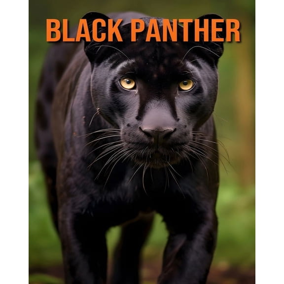 Black Panther: An Amazing Animal Picture Book for Kids (Paperback)