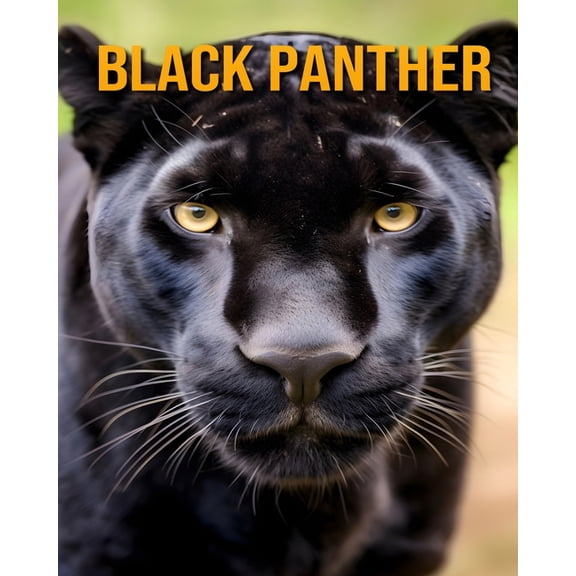 Black Panther: An Amazing kids Book About Black Panther (Paperback)
