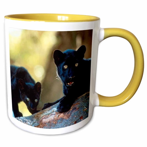 3drose, Black Panther Cubs, 15oz Two-tone Yellow Mug