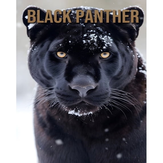 Black Panther: Fun Facts About the Black Panther, (Paperback)