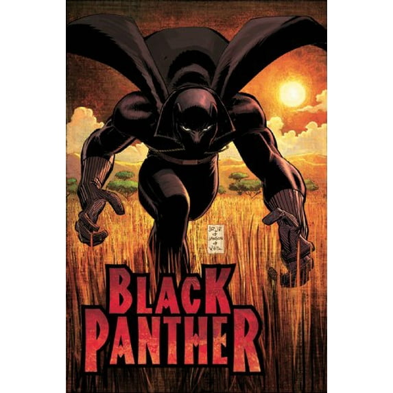 Pre-Owned Black Panther: Who Is The Black Panther HC Hardcover