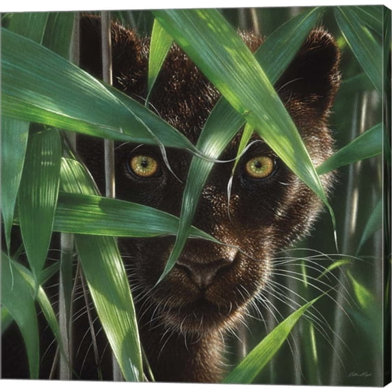 Black Panther - Wild Eyes by Collin Bogle, Canvas Wall Art, 12W x 12H