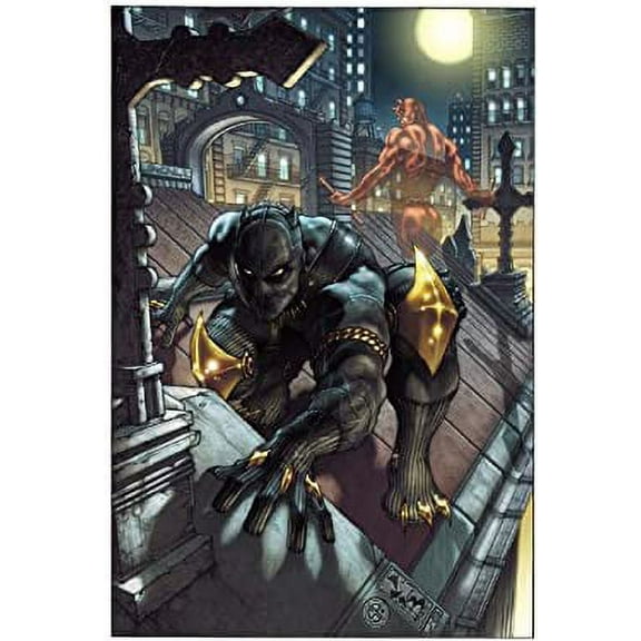 Pre-Owned Black Panther: The Man Without Fear, Vol. 1 (Paperback) 0785145230 9780785145233