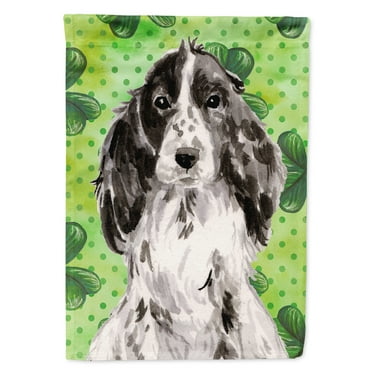 Black Parti St. Patricks House Flag