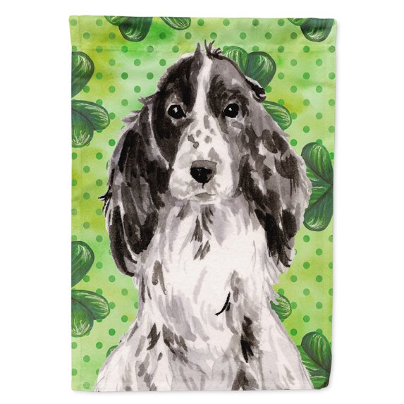 Black Parti St. Patricks House Flag