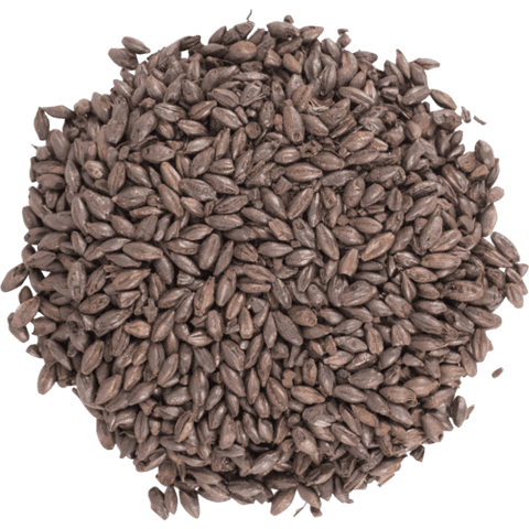 Black Patent Malt 500L for Brewing Roasted Malted Barley for Beer Making, Home Brewing, Mash Ingredients & Dark Beer Recipes 1 lb Whole Grain